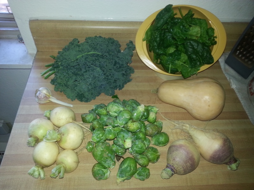 Kale, Spinach, Butternut Squash, Rutabaga, Brussels Sprouts, Turnips, Garlic.